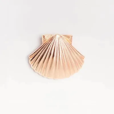 Bijoux - bijou broche CLAP - SHELLA le coquillage - CLAP PARIS