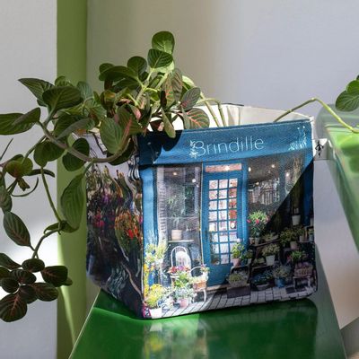 Pots de fleurs - Boite de rangement "Brindille" Fleuriste Paris - MARON BOUILLIE