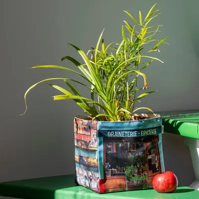 Homewear - Fabric box Paris Graineterie - MARON BOUILLIE