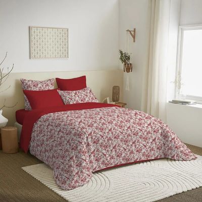 Linge de lit - Pack Complet Housse de couette Imprimé 220 x 240 cm - Drap housse 140 x 190 cm - 100% Coton 57 Fils - COTON PUR