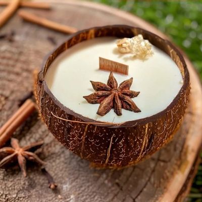 Bougies - La bougie qui devient plante Vanille - LUMINANTE