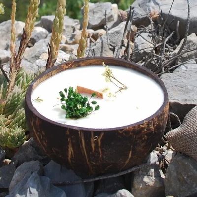 Bougies - La bougie qui devient plante senteur Verveine - LUMINANTE