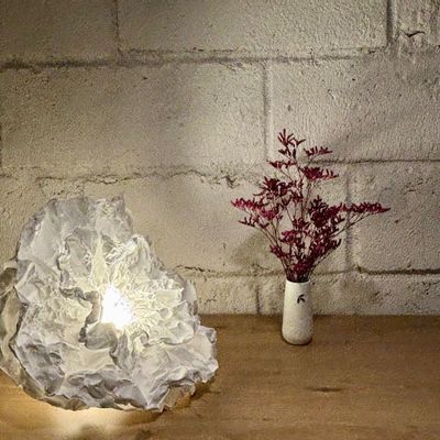 Table lamps - Fiore table lamp - AND CREATION