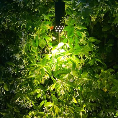 Outdoor floor lamps - ELYXIR LED pathway light - LYX LUMINAIRES