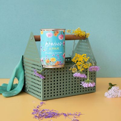 Cadeaux - Kit à semer "Graines de folie" fabriqué en France - MAUVAISES GRAINES