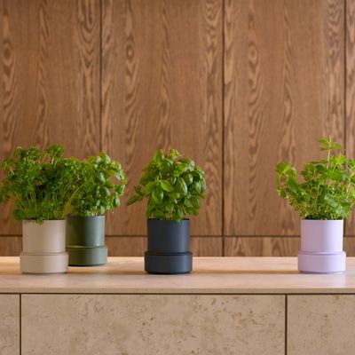 Spices - BILLUND self-watering pots - CRUSHGRIND® DENMARK