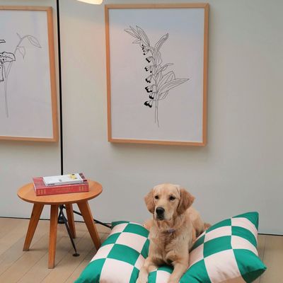 Outdoor fabrics - The Fritz Dog Bed - APPROVED BY FRITZ