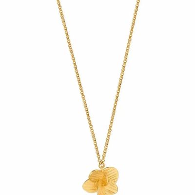 Bijoux - COLLIER DORÉ PAMPALONIA CHAÎNE - JOIDART