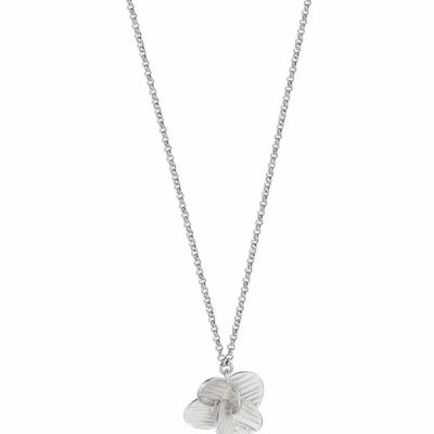 Bijoux - COLLIER EN ARGENT PAMPALONIA CHAÎNE - JOIDART