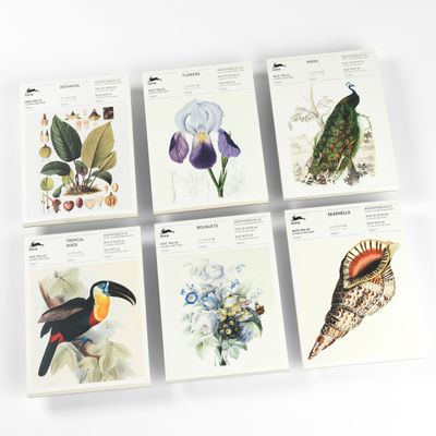 Gifts - Writing Pads & Envelopes - THE PEPIN PRESS