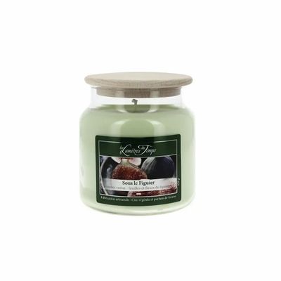Candles - Colored Wax Candle 430 g Under the Fig Tree - LES LUMIERES DU TEMPS