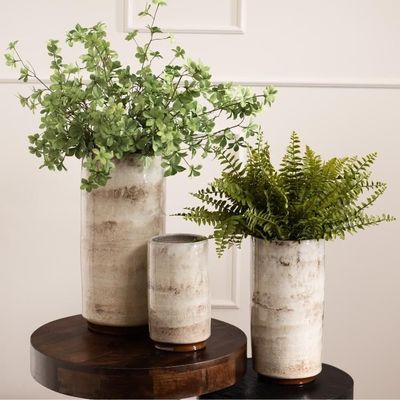 Floral decoration - FOUGERE NEPHROLEPIS - LOU DE CASTELLANE