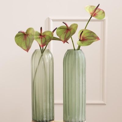 Floral decoration - ANTHURIUM FORTEZZA - LOU DE CASTELLANE