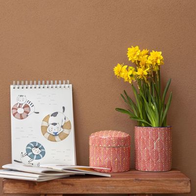 Sets de bureaux  - Carnet de notes BLUE SPLASHY CAT - TRANQUILLO