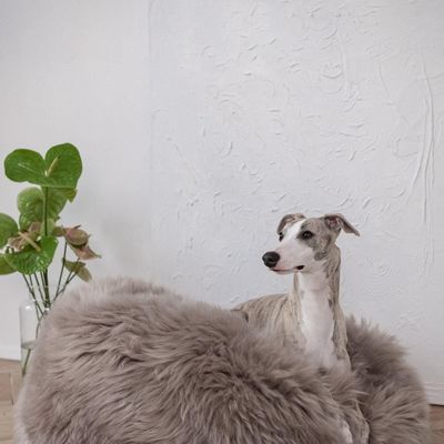 Beds - Oval Natural Sheepskin Pet Bed - Greige - MELLOW CONCEPT STORE