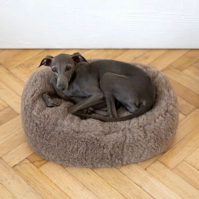Beds - Oval Natural Wool Pet Bed - Beige - MELLOW CONCEPT STORE