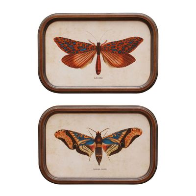 Frames - S/2 frames Butterfly - CHEHOMA