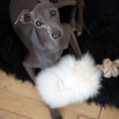 Decorative objects - Natural Sheepskin Dog Tug Toy - White - MELLOW CONCEPT STORE