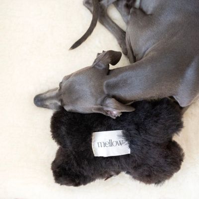 Decorative objects - Natural Sheepskin Dog Toy: Bone - Black - MELLOW CONCEPT STORE