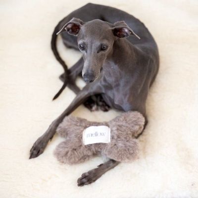 Decorative objects - Natural Woolen Dog Toy: Bone - Charcoal - MELLOW CONCEPT STORE