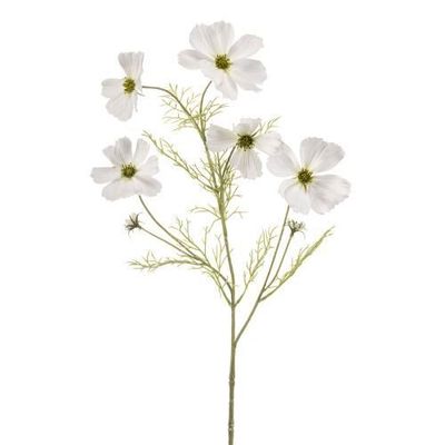 Floral decoration - Cosmos spray - EMERALD ETERNAL GREEN BV