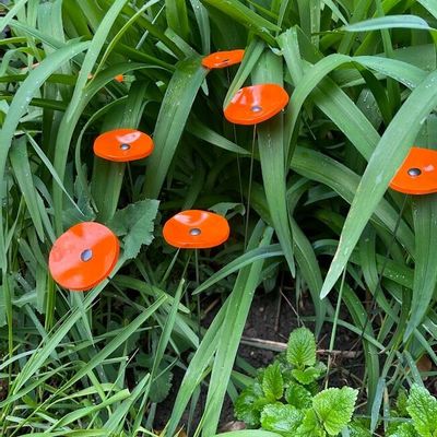 Garden accessories - Round small glass flower for outdoor use in orange colour - CARNEOL GLASS