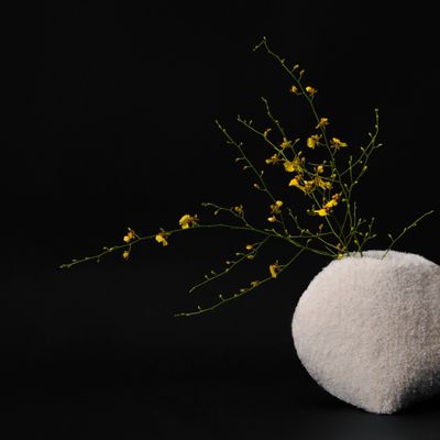 Vases - [AAROC] Couvercle de vase Pelong Moon Jar - SEOUL DESIGN FOUNDATION