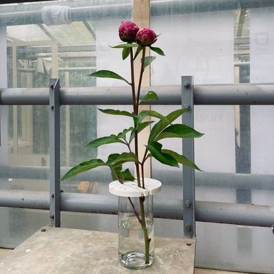 Vases - Vase CORYMBE - BOUTURES D'OBJETS