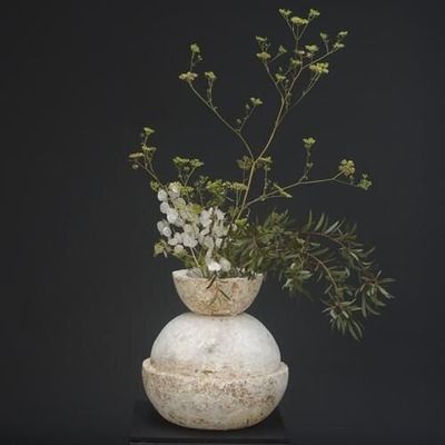 Poterie - ANEMONE - BOUTURES D'OBJETS