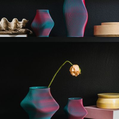 Vases - Vase Bloz 16 Blend - Dragon Fruit - SHEYN