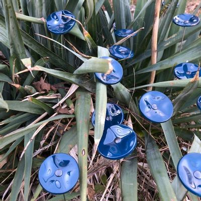 Garden accessories - Small turquoise glass flower on a stainless steel stem - CARNEOL GLASS