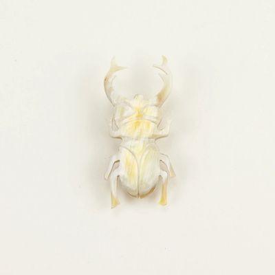 Broches - Broche Coleoptere en corne blonde - L INDOCHINEUR X RIVÊT
