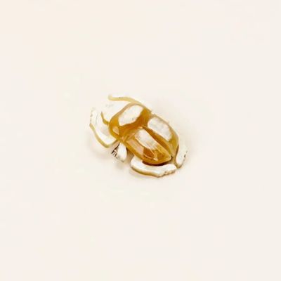 Broches - Broche Scarabee en corne blonde - L INDOCHINEUR X RIVÊT
