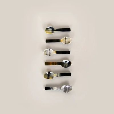 Couverts & ustensiles de cuisine - Set de 6 cuillères à sel en corne noire avec manche laqué sable - L INDOCHINEUR X RIVÊT