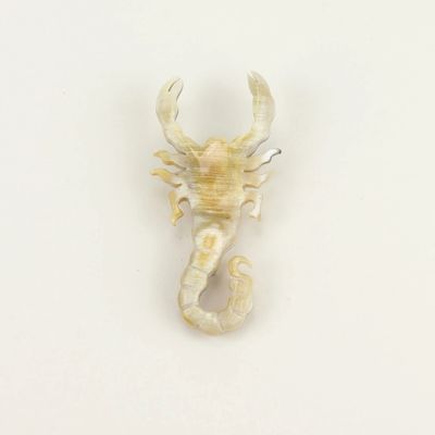 Broches - Broche Scorpion en corne blonde - L INDOCHINEUR X RIVÊT