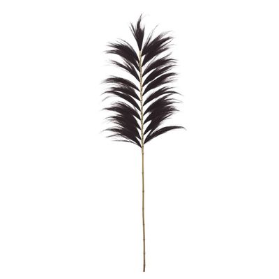 Objets de décoration - RAYUNG - Feuille naturelle noire - Décoration XXL - HYDILE