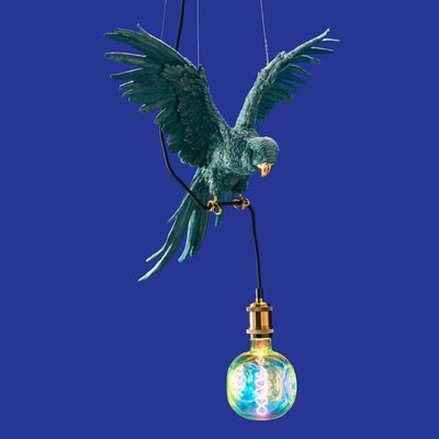 Suspensions - Plafonnier Perroquet Percy - WERNS
