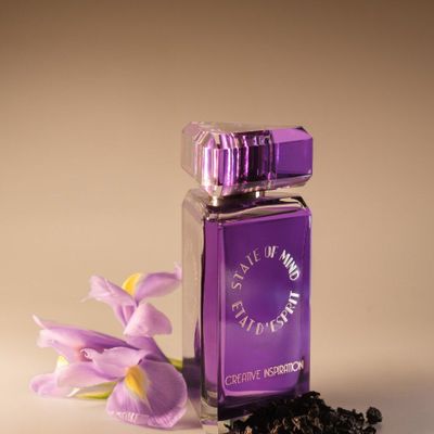 Fragrance for women & men - Perfume 100 ML Creative Inspiration - STATE OF MIND