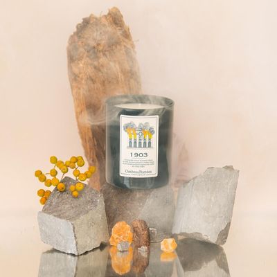 Bougies - Bougie Ombres Portées Parfumeur 1903 - OMBRES PORTÉES PARFUMEUR