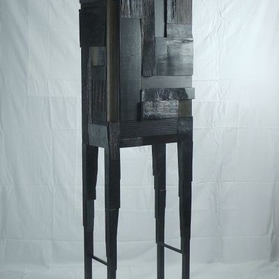 Shelves - Cabinet playing with light - JULIEN HARDY EBENISTE