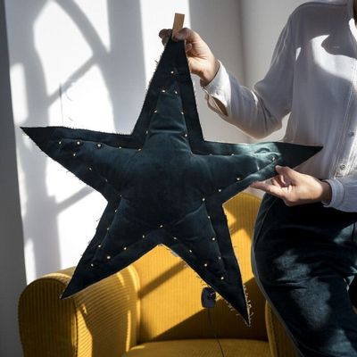 Objets de décoration - Les étoiles lumineuses vertes - ROSE VELOURS