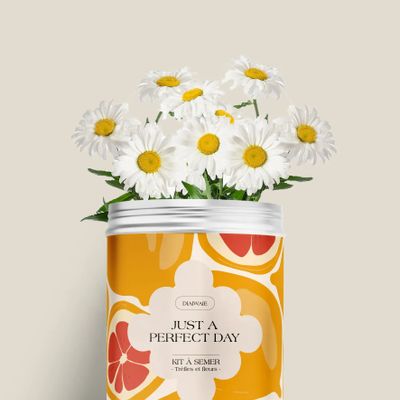 Floral decoration - Sowing Kit - Just a Perfect Day - DIAIWAIE