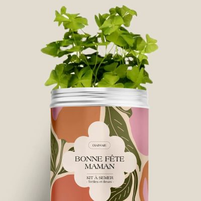 Décorations florales - Kit à semer - Bonne fête maman - DIAIWAIE