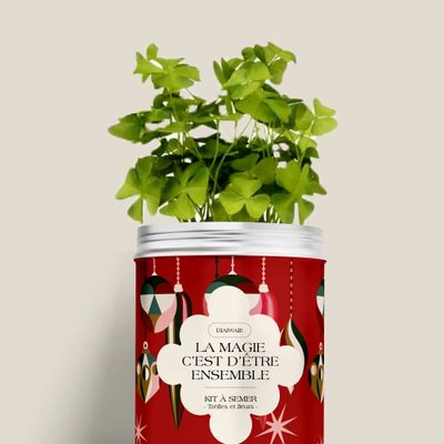 Floral decoration - Sowing Kit - Magic is being together - DIAIWAIE