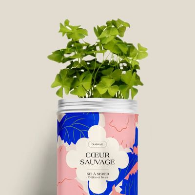 Floral decoration - Sowing Kit - Wild Heart - DIAIWAIE