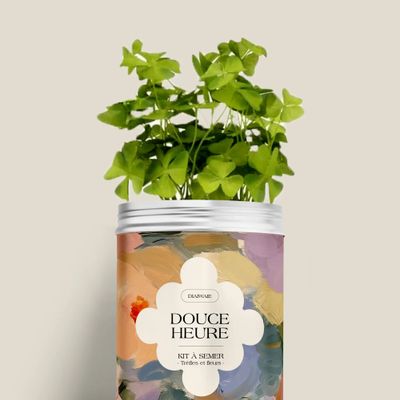 Floral decoration - Sowing Kit - Douce Heure - DIAIWAIE