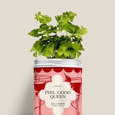 Floral decoration - Sowing kit - Feel good queen - DIAIWAIE