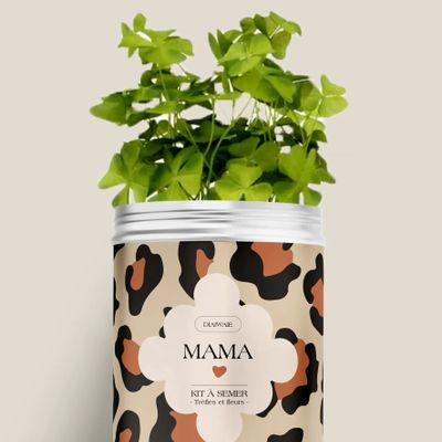 Décorations florales - Kit à semer - Mama <3 - DIAIWAIE