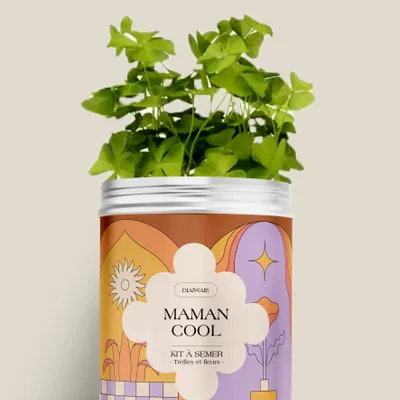 Décorations florales - Kit à semer - Maman cool - DIAIWAIE