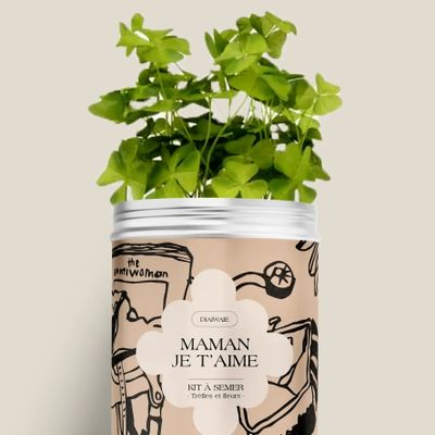 Floral decoration - Seed Kit - Mom I love you - DIAIWAIE